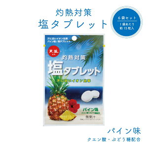 灼熱対策 塩タブレット パイン味 33g 6袋 まとめ買い 1000円 ポッキリ 送料無料 赤穂の天塩 赤穂化成 熱中対策 部活動 スポーツ 熱中症対策 レジャー 工事現場 夏バテ防止 塩分補給 ミネラル補給 携帯 お菓子