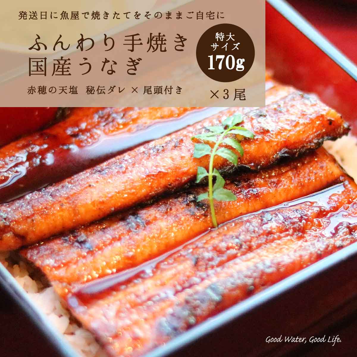 国産うなぎ うなぎ蒲焼 170g 3尾 送料無料 うなぎ丼 うなぎ入り酢の物 寿司 手焼き う巻き 魚屋さんから焼き立て直送 冷蔵クール便 誕生日御祝 御中元 御歳暮 御年賀 ご挨拶 母の日 父の日 敬老の日 土用 丑の日 ふわっと柔らかい焼き上がり