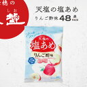 \ スーパーSALE★最大半額 / 塩あめ りんご酢味 塩飴 赤穂の天塩 天塩の塩あめ 58g 48袋 まとめ買い 送料無料 塩味 赤穂化成 天塩 りんご酢 キャンディー 個包装 塩分補給 部活 スポーツ 現場作業 屋外 運動会 スポーツ大会 子ども 大人 熱中対策 塩あめ 塩分 夏 暑さ対策