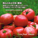 フルーツトマト ミニトマト リサ フルーツトマト おかざき農園 高糖度 産地直送 2kg 25-40個 高知県産 贈り物 送料無料 トマト 高級