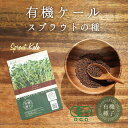 ケール スプラウト種 有機種子 ケール スプラウト 有機 12g 約5800粒 家庭菜園 種 オーガニック スーパーフード 栽培 ギフト 野菜 有機野菜 有機栽...