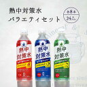 熱中対策水 お試しセット 3種類 レモン味 日向夏味 アセロラ味 各500ml 各8本 合計24本  ...