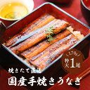 国産うなぎ うなぎ蒲焼 170g 1尾 送料無料 うなぎ丼 うなぎ入り酢の物 寿司 手焼き う巻き 魚屋さんから焼き立て直送 冷蔵クール便 誕生日御祝 御中元 ...