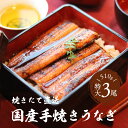 国産うなぎ うなぎ蒲焼 170g 3尾 送料無料 うなぎ丼 うなぎ入り酢の物 寿司 手焼き う巻き 魚屋さんから焼き立て直送 冷蔵クール便 誕生日御祝 御中元 ...