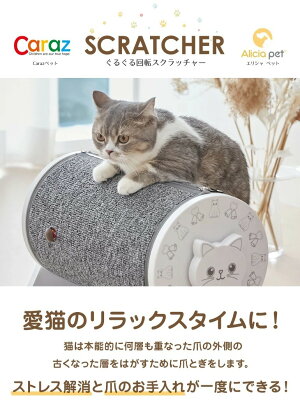 名作 ストレス発散 ネコスクラッチャー カラズ 猫 爪磨き 猫 猫用品 キャットスクラッチャー キャットスクラッチャー ペット つめとぎ猫用爪とぎ 猫用 かわいい 爪とぎ スクラッチャー つめとぎ おしゃれ おもちゃ 爪とぎ スクラッチャー 猫用 スピン ペット用品 お手入れ 名作 ストレス発散 ネコスクラッチャー カラズ 猫 爪磨き 猫 猫用品 キャットスクラッチャー キャットスクラッチャー ペット つめとぎ猫用爪とぎ 猫用 かわいい 爪とぎ スクラッチャー つめとぎ おしゃれ おもちゃ 爪とぎ スクラッチャー 猫用 スピン ペット用品 お手入れ