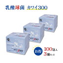 【正規代理店】カワイ 乳酸菌 kawai カワイ 300 3箱 乳酸球菌カワイ株 300mg含有/包 1g 100包 スティックタイプ 健康食品 健康サプリ 乳...