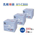 【正規代理店】カワイ 乳酸菌 kawai カワイ 300 3箱 乳酸球菌カワイ株 300mg含有/包 1g 100包 スティックタイプ 健康食品 健康サプリ 乳酸菌 サプリメント 河合乳酸菌 母の日