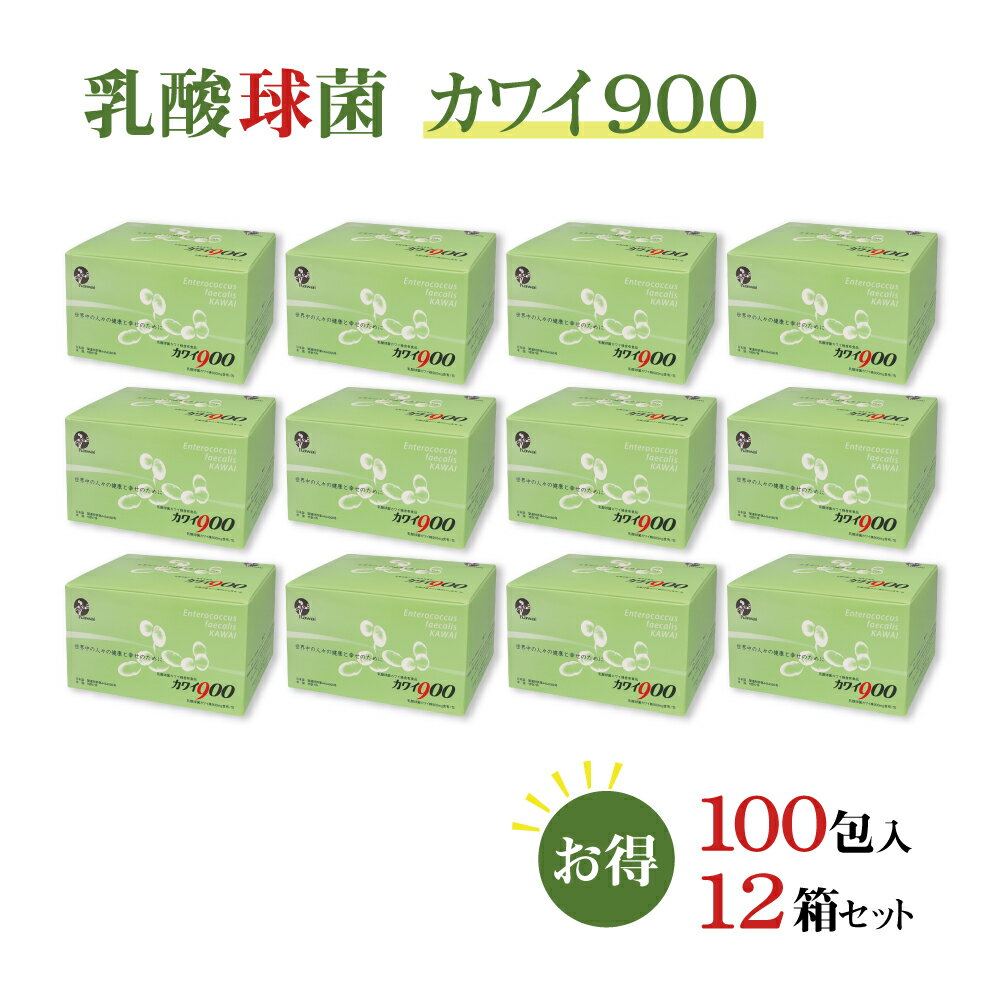 【正規代理店】カワイ 乳酸菌 kawai カワイ 900 12箱 乳酸球菌カワイ株 900mg含有/包 1.5g 100包 スティックタイプ 健康食品 健康サプリ 乳酸菌 サプリメント 河合乳酸菌 母の日