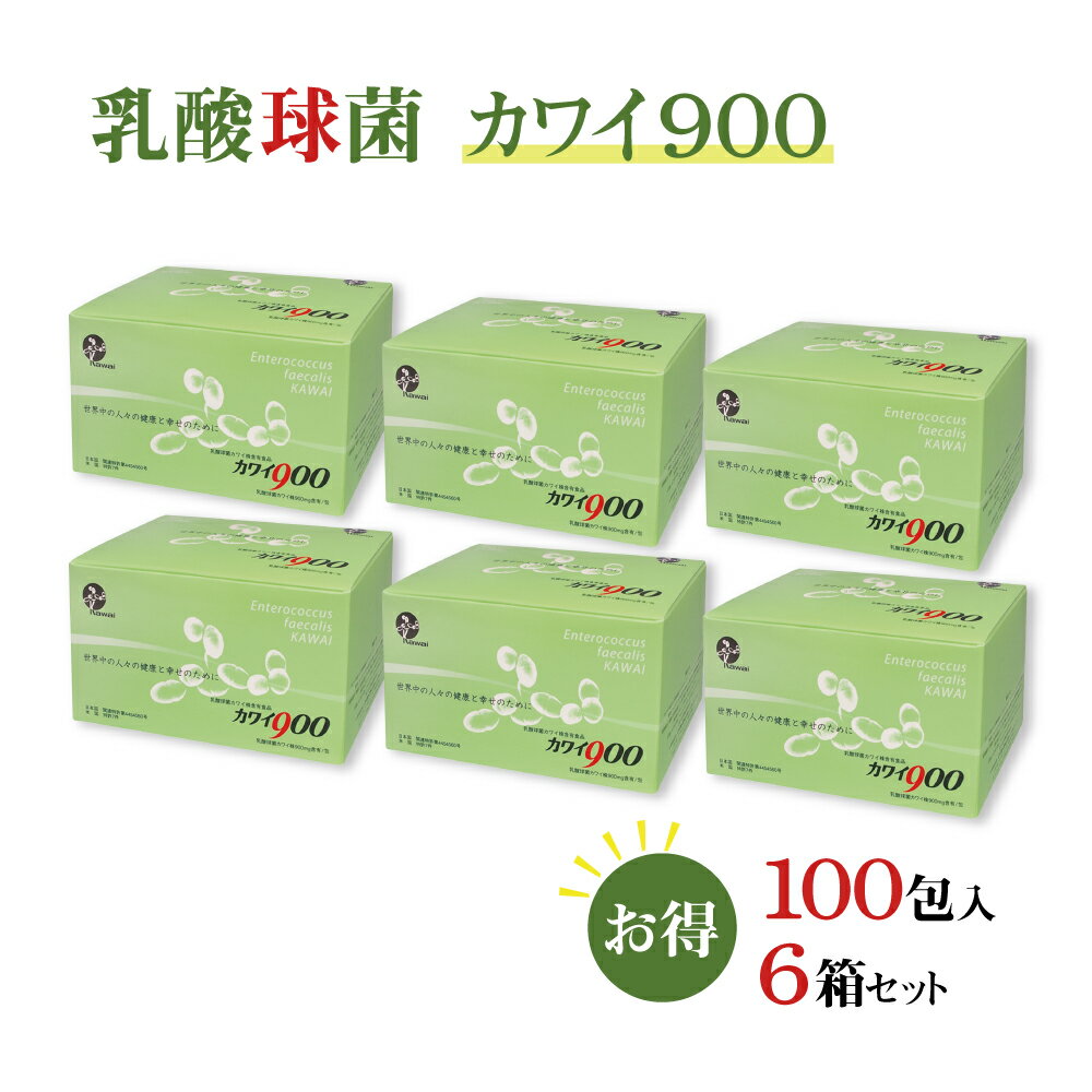 【正規代理店】カワイ 乳酸菌 kawai カワイ 900 6箱 乳酸球菌カワイ株 900mg含有/包 1.5g 100包 スティ..