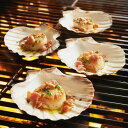 大きい貝殻 グリルシェル セット King Scallop Grilling Shells, Set of 4 キングシェル 4枚 貝皿