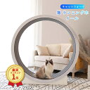【翌日発送】キャットホイール 猫 ランニングホイール キャットウォーク キャット ローラー 猫のトレッドミル 回し車 爪研ぎ キャットエクササイズホイール ノイズなし 軽量 直径120cm 静音 運動不足やストレス解消に 猫ランニングマシン 滑り防止マット付き 室内用