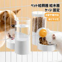 ペット 食器 みずのみ器 犬猫 ペット給餌器 自動 給水器 給餌器 ケージ 固定 吊り下げ式 お留守番対応 大容量 ペットボウル 犬用 猫用 自動給餌器 自動給水器 餌入れ えさ皿 水飲み 転倒防止 飛び散り対策 掛ける プラスチック製 取り外し可能 その1