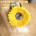 エリザベスカラー 猫 犬 ひまわり型 猫用 犬用 エリザベス カラー 介護 軽量 ソフト 柔らかい ソフト えりざべすから 避妊手術 去勢手術 皮膚病 術後 介護 傷舐め防止 傷口保護 可愛い 調節可能 布製 引っ掻き防止 手術後のケア 簡単装着 黄色い