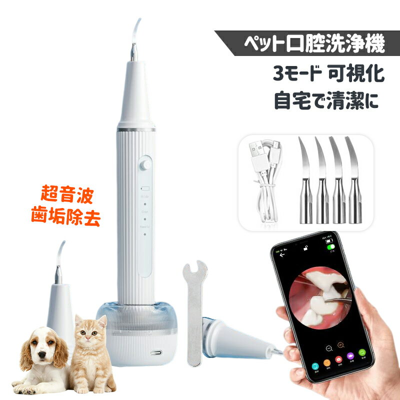 ペット口腔洗浄機 超音波 歯垢除去器 3モード 犬 猫 歯用ツール 電動 ペット用 高周波振動スケーラー 振動デンタルクリーナー 口内洗浄 可視化 見える ペットの歯垢 歯周病 歯石 除去 防水 自宅で清潔に 簡単的操作 口腔ケア 動物 おすすめ 安全