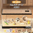 ハムスターケージ 小動物用 透明 アクリル製 通気性 DIY可能 脱走防止 耐噛み性 お手入れ簡単 飼育ケージ ハリネズミ 39.5cmケージ セット2 5点付...