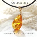 【天然琥珀】【fuku092】【福袋】琥珀 こはく ペンダント【4ツ星】【レザーネックレス付き・革ひも】【アンバー・こはく】【ジュエリー】【送料無料】