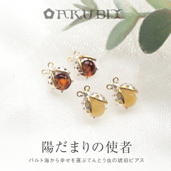 てんとう虫スターリングシルバーイヤリング | ポケットデザイン
