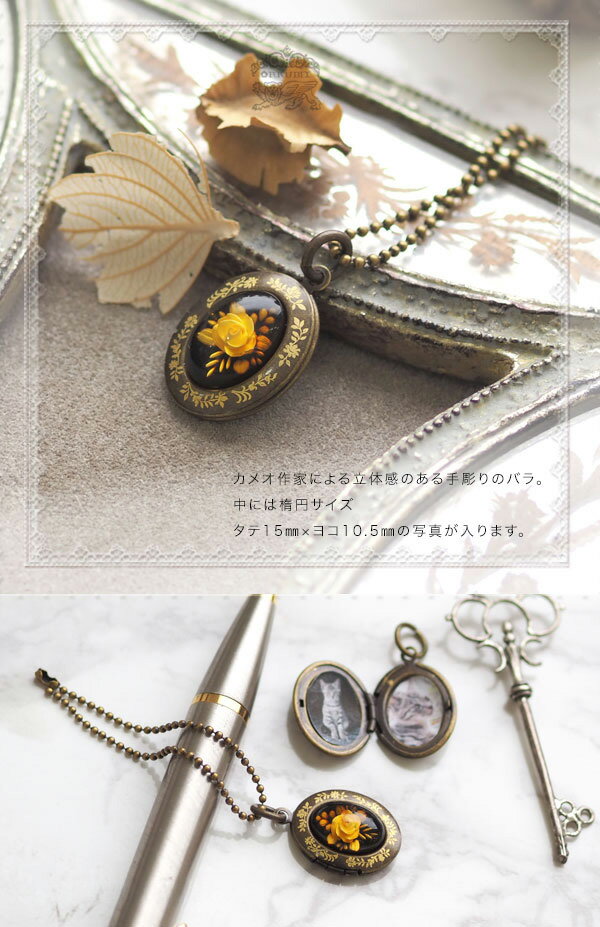 �ڥХ�ȳ�������ۥ���ƥ������ǥ����� ��Ħ���鯥��ᥪ �����åȥ��㡼�������̵���ۡ�ak0147�ۡڤ椦�ѥ��åȡ����ײ�ǽ�᡼���ءˡ�amber�����Ϥ��������󥿥ꥪ��ŷ���С��ѥ���ȡ��󡡥��եȡ�£��ʪ���������ۥ�������Х�