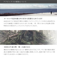 琥珀ステンレスピアス