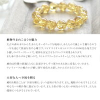 琥珀ステンレスピアス