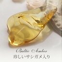 【バルト海の琥珀】 虫入り琥珀 こはく ギフト【musi339】【ケース付き】【インターナショナルアンバー協会認定正規品】【天然石・パワーストーン】 【送料無料...