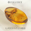【バルト海の琥珀】虫入り琥珀 ルース こはく ギフト 一点もの【musi399】【ケース・ポーチ付き】【インターナショナルアンバー協会認定正規品】【天然石・パワ...
