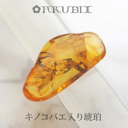 【バルト海の琥珀】虫入り琥珀 ルース こはく ギフト 一点もの【musi413】【ケース・ポーチ付き】【インターナショナルアンバー協会認定正規品】【天然石・パワーストーン】【送料無料】ラッピング 【バルト海の琥珀】虫入り琥珀 ルース こはく ギフト 一点もの【musi413】【ケース・ポーチ付き】【インターナショナルアンバー協会認定正規品】【天然石・パワーストーン】【送料無料】ラッピング
