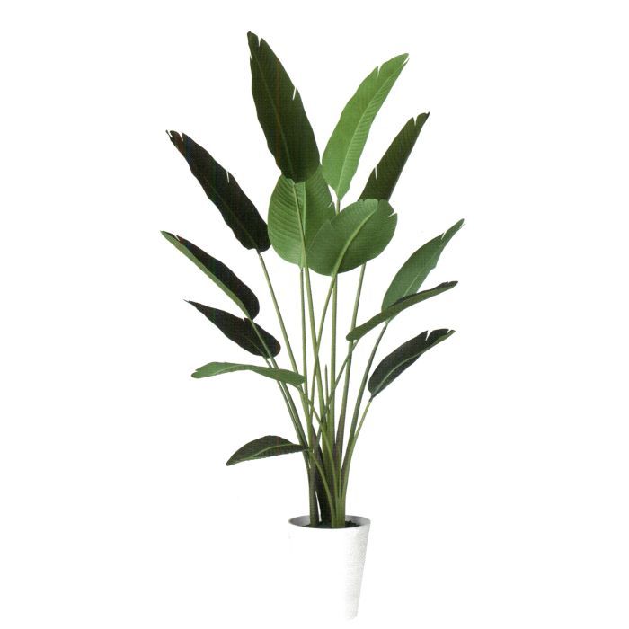 【造花 人工観葉植物】オーガスタ バーク付き / 高：190cm × 横：90cm / 造花・インテリア・ディスプレ..