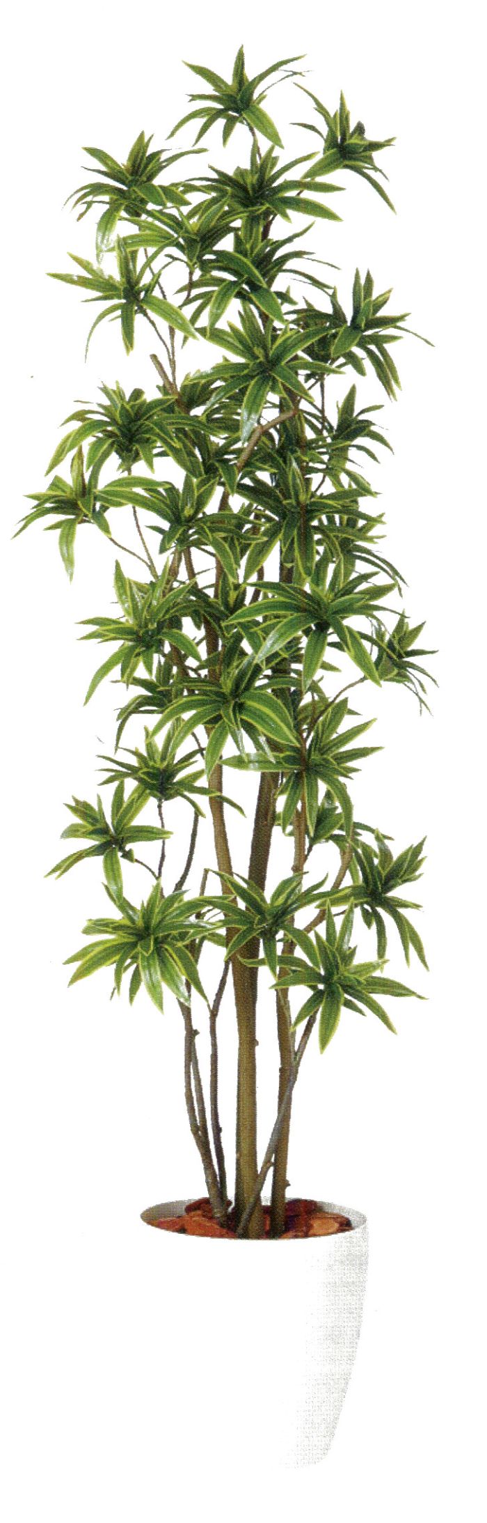 【造花 人工観葉植物】ソング・オブ・インディア バーク付き / 高：180cm × 横：60cm / 造花・インテリ..