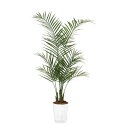【造花 人工観葉植物】アレカヤシ バーク付き / 高:130cm × 横:60cm / 造花・インテリア・ディスプレイ・グリーン | BV99159