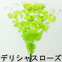 【造花・アレンジ】デリシャスローズ(G) | 990016 / FRO-1100