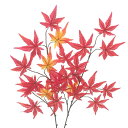 【造花・秋・もみじ】モミジ / 紅葉 | FS-9059