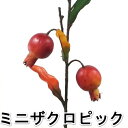 【造花・秋】秋の実物シリーズ・ミニザクロピック・ざくろ・石榴 | 9761