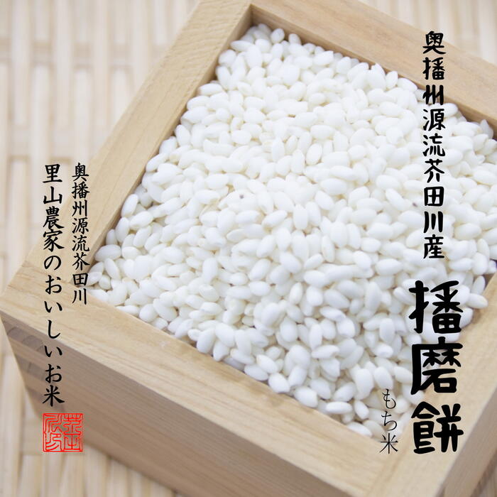 新米予約 令和6年産 新米 もち米 5kg×2 10kg 送料無料 奥播州源流芥田川 播磨餅 はりまもち 5キロ 5分づき 7分づき モチ米精米 新餅 モチ米 石抜き処理済み 10キロ 1