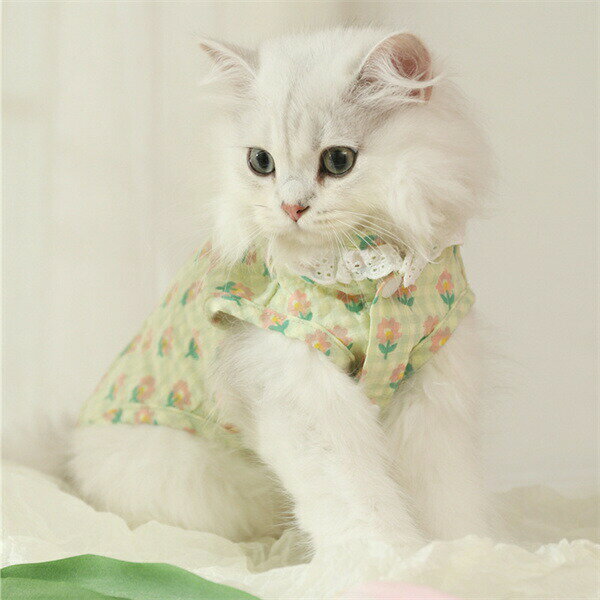 ペットウエアペット服猫夏可愛いスナップ開閉袖な...の紹介画像3