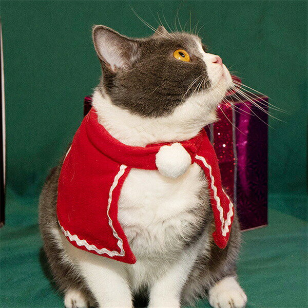 ペットコスチュームペットマフラーペット襟巻マフラーマント帽子猫用犬用クリスマ...