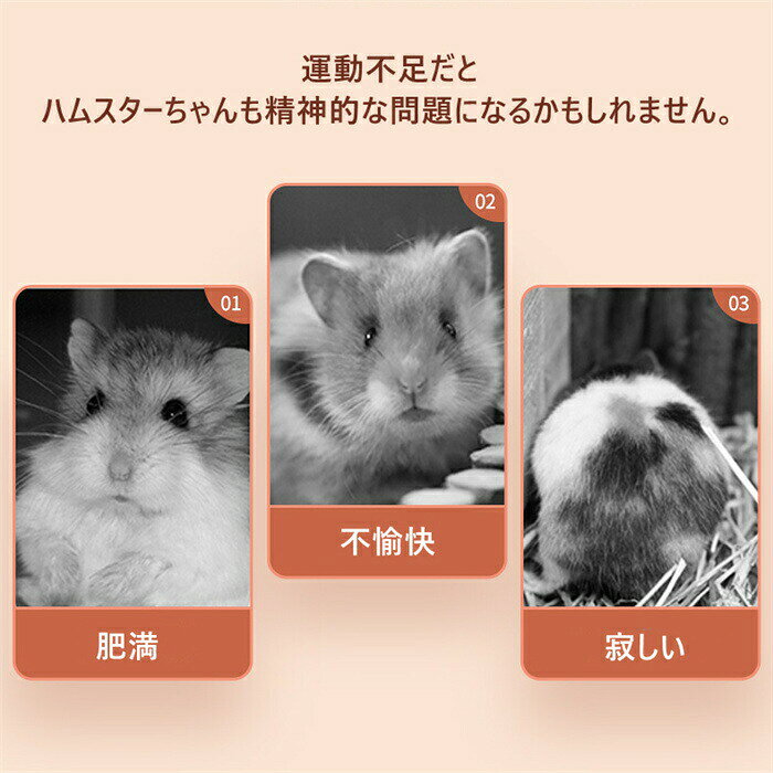 Akyron Styleのホイール回し車小動物ペット木製静音遊具ランニングストレス解消静かゲージマウスハムスターリスハリネズミ小動物おもちゃ｜アングル3