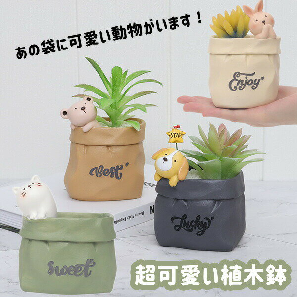 プランター植木鉢ミニ多肉苔コケリウム苔リウム箱庭可愛い鉢サボテン多肉植物寄せ植え置物インテリアかわい ...