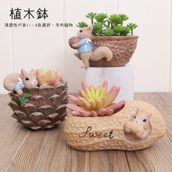 多肉植物鉢植木鉢栗鼠リスプランターミニ多肉苔コケリウム4color苔リウム箱庭鉢可愛いおしゃれサボテン多肉植物寄せ植え置物装飾用装飾インテリアかわいい樹脂テラリウム容器卓上ガーデニンググッズ雑貨母の日プレゼント