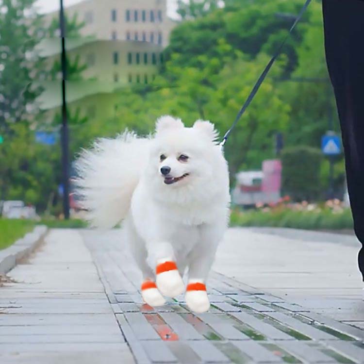 Akyron Styleの120枚入使い捨て犬用靴防塵防水伸縮粘着包帯付き滑り止め犬靴足元の汚れ防止通気性柔らかいペットフットカバー猫用肉球保護犬靴下傷なめ防止足噛み防止床の傷・汚れ防止怪我防止お散歩雨の日使い捨てブーツ送料無料｜アングル2