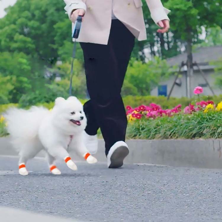 Akyron Styleの120枚入使い捨て犬用靴防塵防水伸縮粘着包帯付き滑り止め犬靴足元の汚れ防止通気性柔らかいペットフットカバー猫用肉球保護犬靴下傷なめ防止足噛み防止床の傷・汚れ防止怪我防止お散歩雨の日使い捨てブーツ送料無料｜アングル3