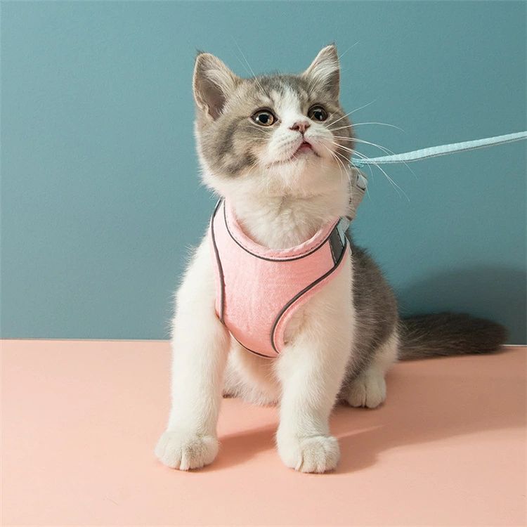 猫用 ハーネス リードセット 胴輪 猫具 犬猫兼用 超小型犬 小型犬 子猫 子犬 軽量 ...