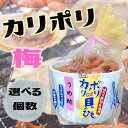 カリポリ 貝ひも ホタテ 梅酢味 うめ お菓子 かりぽり karipori おつまみ 珍味 青森 帆立 スナック アラコウ水産 40g (梅) (選べる個数)