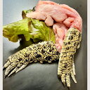 ワニ肉 食用 わに 骨付き 2袋 クロコダイルミート 鰐肉 手 爪付き 冷凍 バーベキュー BBQ (ワニ足 2袋) (選べる重量)