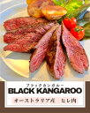 カンガルー肉 食用 250~850g 選べる ヒレ テンダーロイン ブロック オーストラリア産 最高級部位 ジビエ 赤身肉 野生 ルーミート 豪州産 kanga...