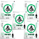 やすまるだし 出汁 ダシ 贅沢ロースト だしパック ヤスマル 高橋商店 あご 粉末 泰丸 国産原料 鰹 昆布 かつお こんぶ 8g×20包 5袋セット (やす緑 5)