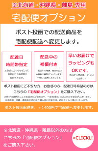 【宅配便オプション】配送方法を宅配便へ変更します。【北海道・沖縄県・離島専用オプション】ギフトプレゼント【楽ギフ_○○】【-】