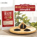 \5種の元気成分を配合★コエンザイムから話題DHA・EPAまで!/ コエンザイムQ10 還元型 100mg サプリ サプリメント 食事で不足 ダイエット 美容 ...