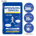 プロテオグリカン サプリ ii 型 コラーゲン 30日分 1日2粒目安 60粒 N-アセチル グルコサミン ヒアルロン酸 イミダゾールジペプチド アミノ酸 配合...