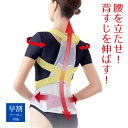 \ 父の日 早割 10%OFFクーポン対象 /楽天ランキング1位 送料無料 日本製 お医者さんの腰から正す姿勢ベルト 姿勢矯正 姿勢 姿勢矯正ベルト 背筋 背筋...